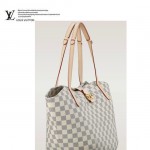 LV N41208   專櫃夏季新款 salina 小號手袋