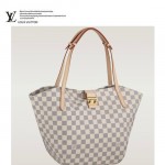 LV N41208   專櫃夏季新款 salina 小號手袋