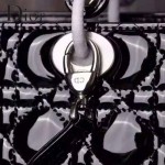 Dior-23-2 經典時尚新款迪奧7格大號原版牛漆皮戴妃包