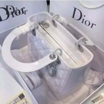Dior-26-4 經典時尚新款迪奧原版漆皮5格戴妃