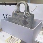 Dior-26 經典時尚新款迪奧原版漆皮5格戴妃