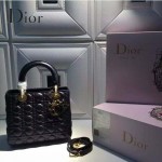 Dior-27-2 人氣熱銷經典迪奧5格原版羊皮戴妃包