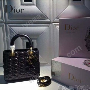 Dior-27-2 人氣熱銷經典迪奧5格原版羊皮戴妃包