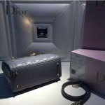 Dior-27 人氣熱銷經典迪奧5格原版羊皮戴妃包