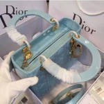 Dior-26-1 經典時尚新款迪奧原版漆皮5格戴妃