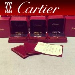 CARTIER飾品-04 專櫃經典款love系列18k金螺絲情侶款手鐲