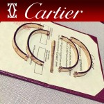 CARTIER飾品-04 專櫃經典款love系列18k金螺絲情侶款手鐲