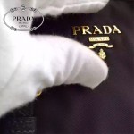 PRADA BN1841-03 人氣熱銷經典款原版帆布配牛皮小號手提肩背包