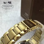 COACH-08 潮流百搭新款女士土豪金原單316精鋼錶殼石英腕錶