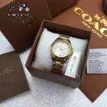 COACH-08 潮流百搭新款女士土豪金原單316精鋼錶殼石英腕錶