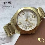 COACH-08 潮流百搭新款女士土豪金原單316精鋼錶殼石英腕錶