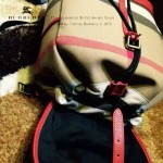 Burberry-0236-01 專櫃時尚新款Canvas系列原版格紋雙肩包
