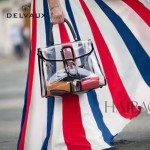 Delvaux-09 春夏時尚限量版brilliant X-ray原單透明果凍包大號手提包