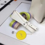 Delvaux-06 春夏專櫃定制款Brillant 彩虹系列白色原版牛皮手提單肩包