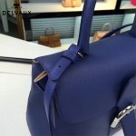 Delvaux-19-5 潮人必備新款brillant藍色原版牛皮豎款大號手提單肩包