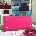 Delvaux-19 潮人必備新款brillant枚紅色原版牛皮豎款大號手提單肩包