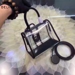 Delvaux-08 專櫃限量版brilliant X-ray原單透明果凍包手提單肩包