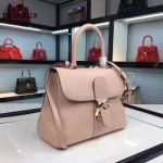 Delvaux-013-5 百搭新款手工車線brillan裸粉色原版TOGO皮豎款大號手袋