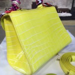 Delvaux-029-5 Sellier Brillant鱷魚紋牛皮 小羊皮內裏可調節肩帶原裝禮盒手提單肩斜挎包