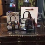 Delvaux-08 專櫃限量版brilliant X-ray原單透明果凍包手提單肩包
