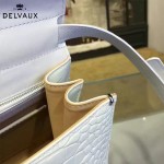 Delvaux-06-3 春夏專櫃定制款Brillant 彩虹系列白色原版鱷魚紋手提單肩包