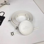 Delvaux-05-7 復古風brilliant 白色原版BOX光面牛皮大號手提單肩包