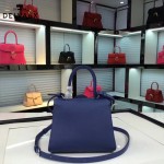 Delvaux-017-5 人氣熱銷brillant藍色原版粒面牛皮手提單肩包