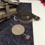 Delvaux-034 全新TP系列swift小牛皮配粗肩背手提單肩包
