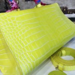 Delvaux-031-4 Sellier Brillant鱷魚紋牛皮 小羊皮內裏可調節肩帶原裝禮盒橫款手提單肩斜挎包