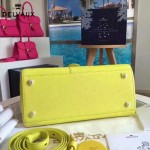Delvaux-19-9 潮人必備新款brillant黃色原版牛皮豎款大號手提單肩包
