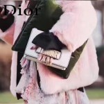 DIOR-001-2 王子文同款JADIOR系列古銅字母白色原版皮單肩斜挎包手拿包