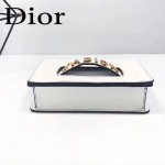 DIOR-001-2 王子文同款JADIOR系列古銅字母白色原版皮單肩斜挎包手拿包