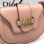 DIOR-003-4 早春最新款D Fence粉色原版皮大小號單肩斜挎包
