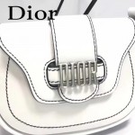 DIOR-003-2 早春最新款D Fence白色原版皮大小號單肩斜挎包