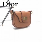 DIOR-003-6 早春最新款D Fence土黃色原版皮大小號單肩斜挎包