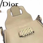 DIOR-003-5 早春最新款D Fence淺灰色原版皮大小號單肩斜挎包