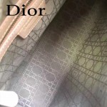 DIOR-007 人氣經典款女士七格粉色原版漆皮銀扣手提單肩包戴妃包