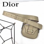 DIOR-003-5 早春最新款D Fence淺灰色原版皮大小號單肩斜挎包