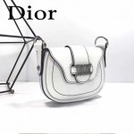 DIOR-003-2 早春最新款D Fence白色原版皮大小號單肩斜挎包