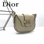 DIOR-003-5 早春最新款D Fence淺灰色原版皮大小號單肩斜挎包