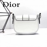 DIOR-003-2 早春最新款D Fence白色原版皮大小號單肩斜挎包