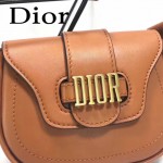 DIOR-003-6 早春最新款D Fence土黃色原版皮大小號單肩斜挎包