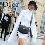 DIOR-003-3 早春最新款D Fence黑色原版皮大小號單肩斜挎包