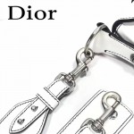 DIOR-003-2 早春最新款D Fence白色原版皮大小號單肩斜挎包