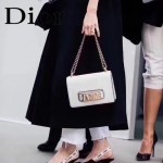 DIOR-001-2 王子文同款JADIOR系列古銅字母白色原版皮單肩斜挎包手拿包