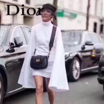 DIOR-003-3 早春最新款D Fence黑色原版皮大小號單肩斜挎包