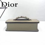 DIOR-001-5 王子文同款JADIOR系列古銅字母淺灰色原版皮單肩斜挎包手拿包