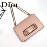 DIOR-001-6 王子文同款JADIOR系列古銅字母灰粉色原版皮單肩斜挎包手拿包