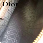 DIOR-007-2 人氣經典款女士七格粉色原版漆皮金扣手提單肩包戴妃包