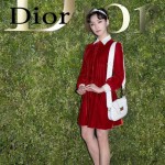 DIOR-003-2 早春最新款D Fence白色原版皮大小號單肩斜挎包